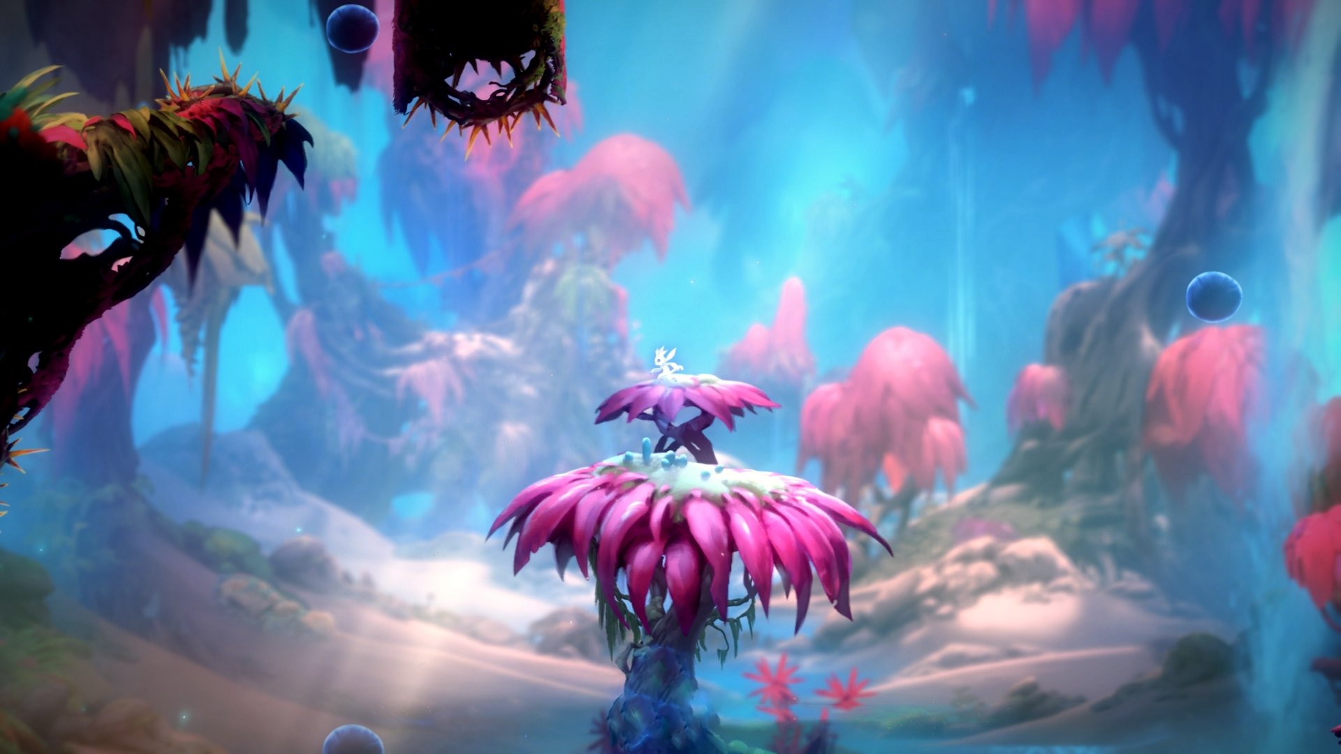 金州勇士投射欧洲,库里如何成为伯纳乌的隐形焦点