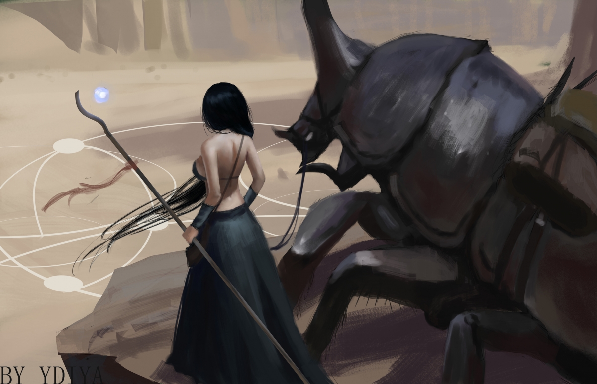 当聚光灯对准射手福克斯，他回赠了整个星空