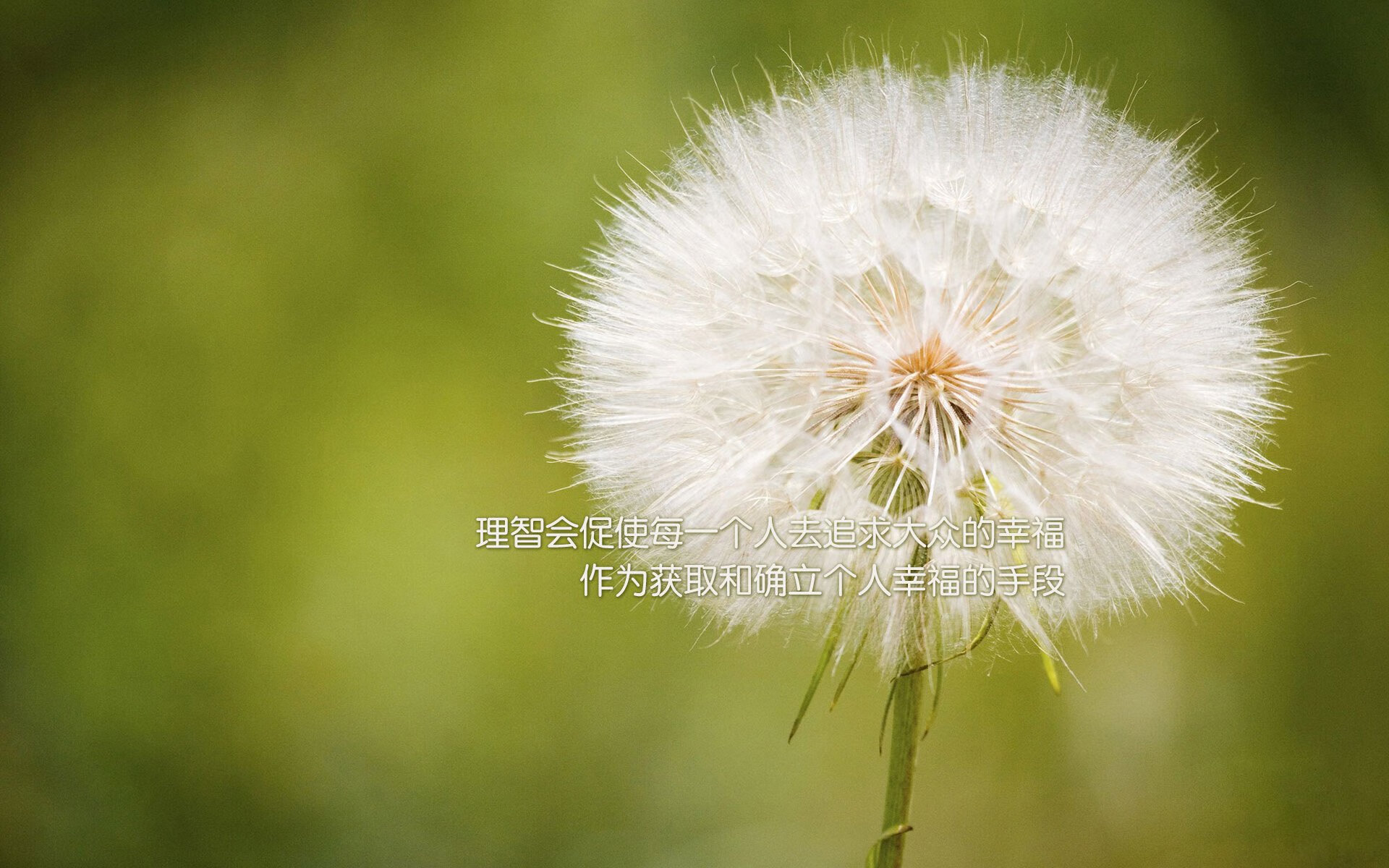 王座崩塌之夜,当亚特兰大之鹰与胡子上帝联手撕碎克利夫兰王朝