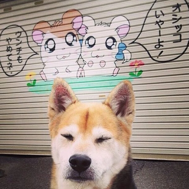 当篮球机器闯入足球之夜,伦纳德的终极高能输出