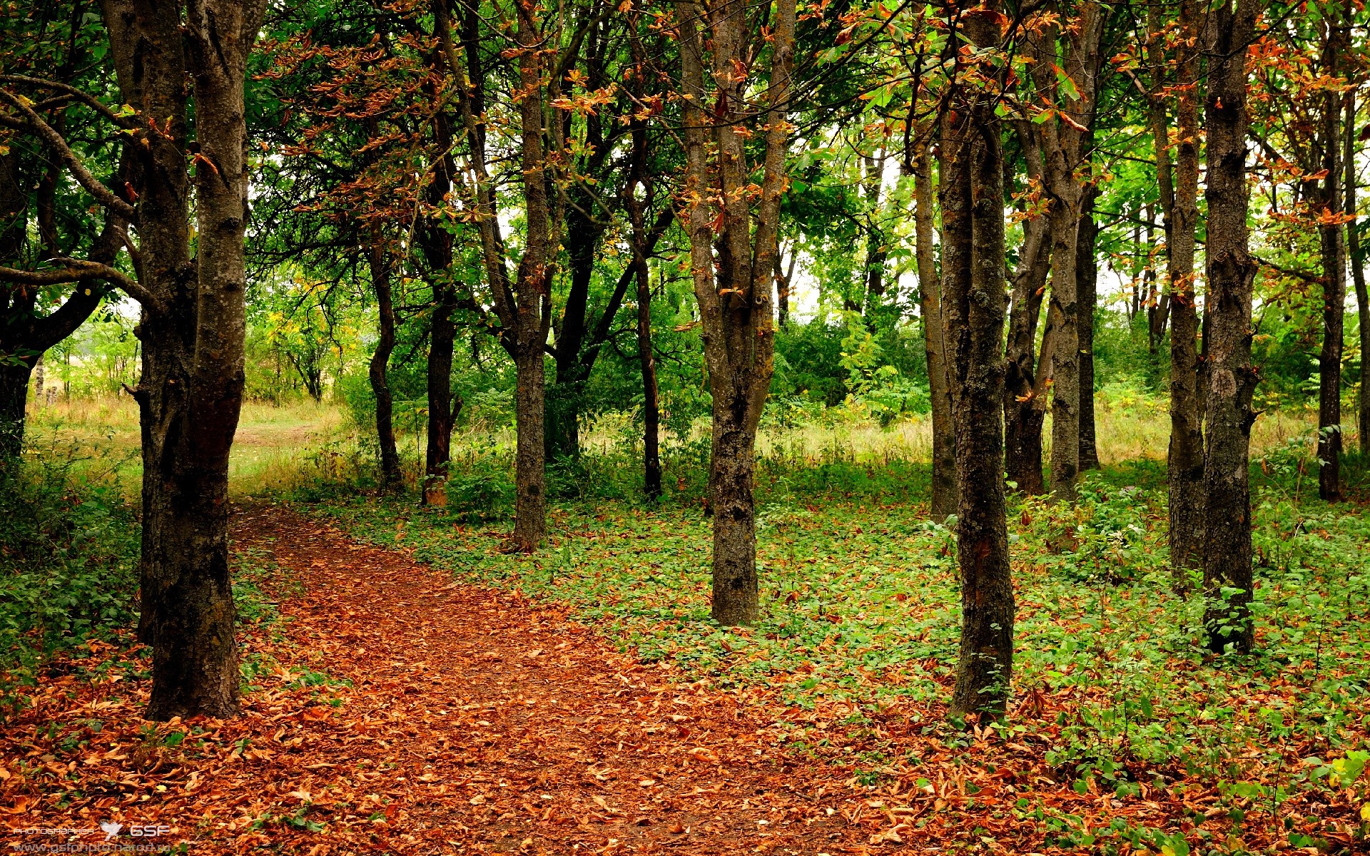 冰火对决!米切尔关键时刻连轰14分,爵士末节一波流击溃辽宁