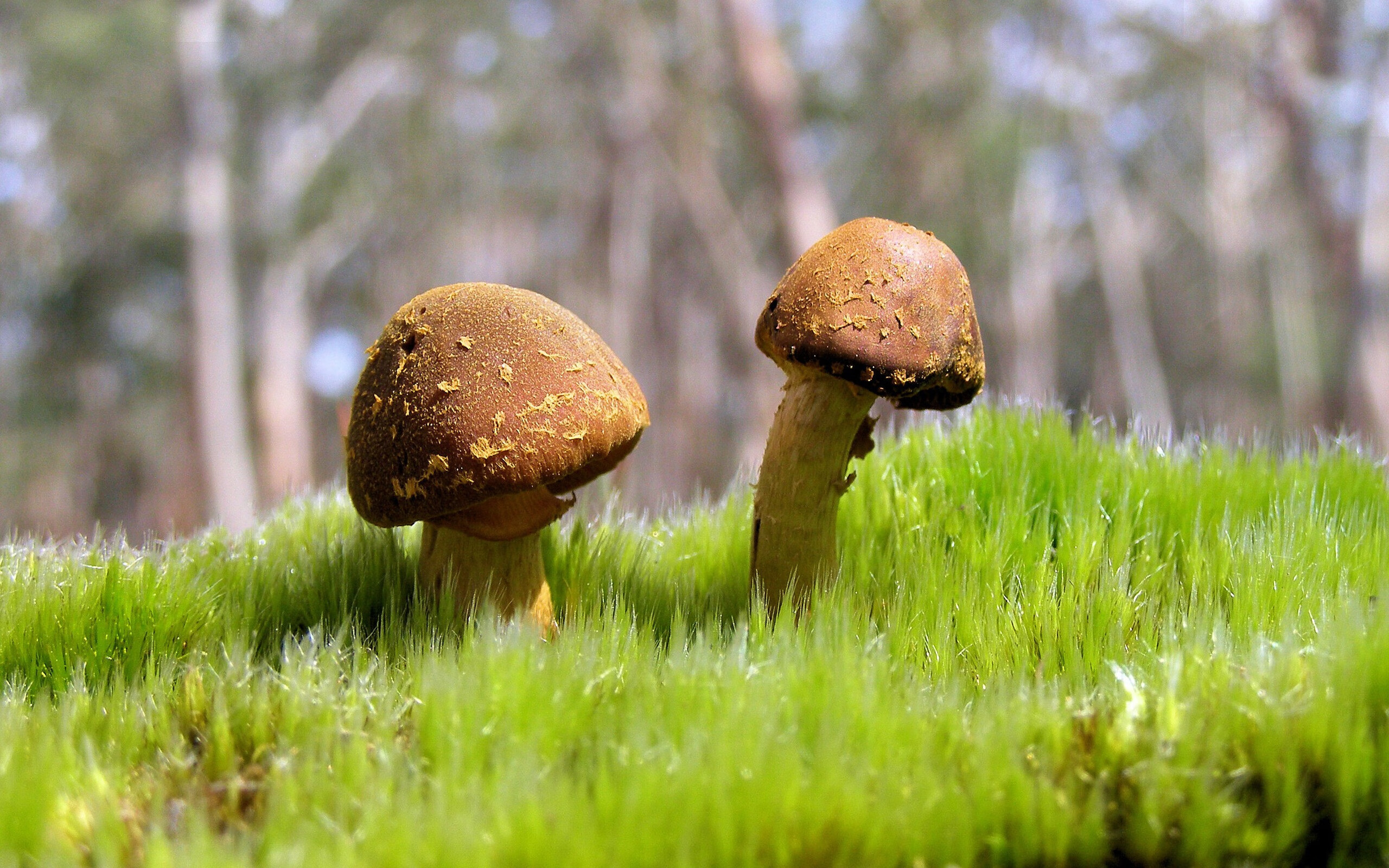 黄与蓝的对话，加克波冠军级表现照亮比利亚雷亚尔与美国的战术棋盘