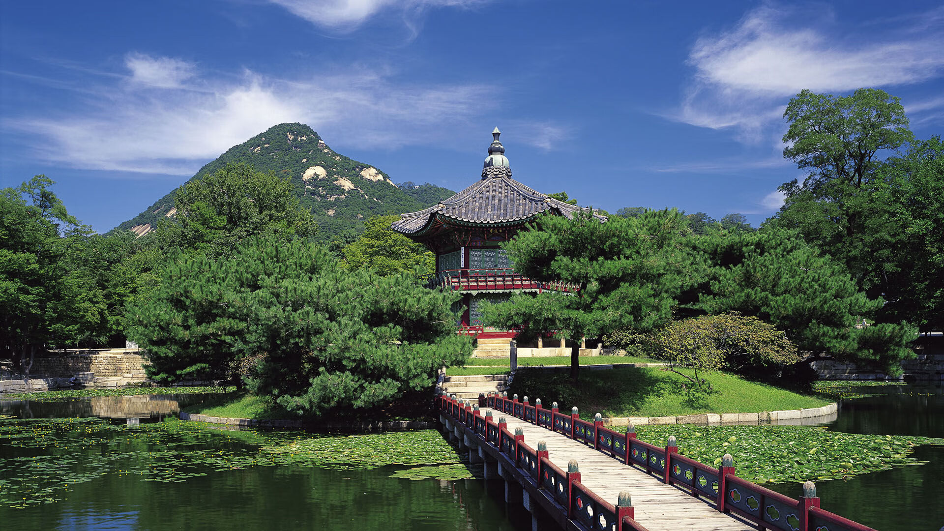 劳塔罗弑神之夜,葡萄牙狂胜土耳其背后的关键先生