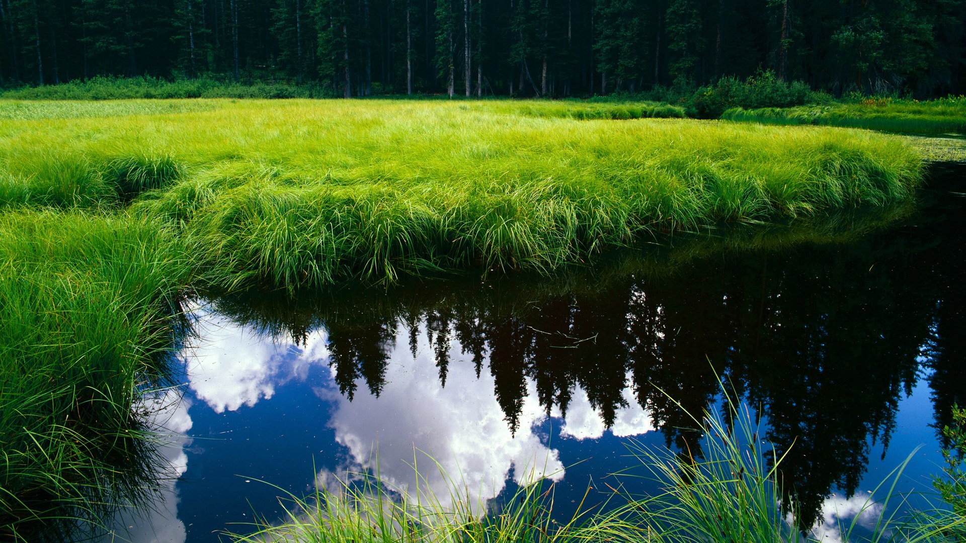 数据之矛刺穿浪漫之盾—美加墨世界杯首现德国战车式完胜，莱比锡红牛4-0狂扫马赛启示录