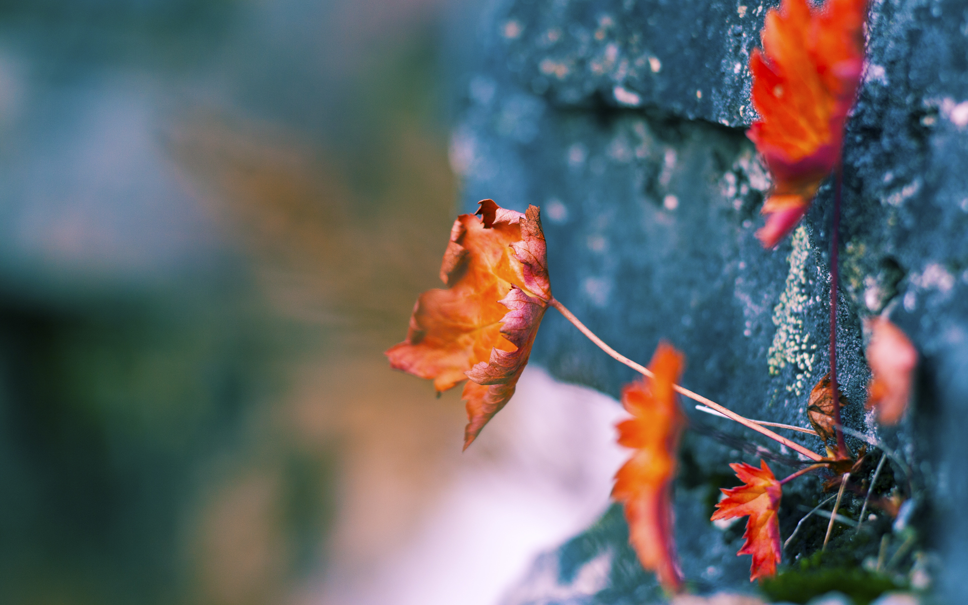 跨界投射,当西甲国家德比之夜遇上西亚卡姆的持续杀伤力