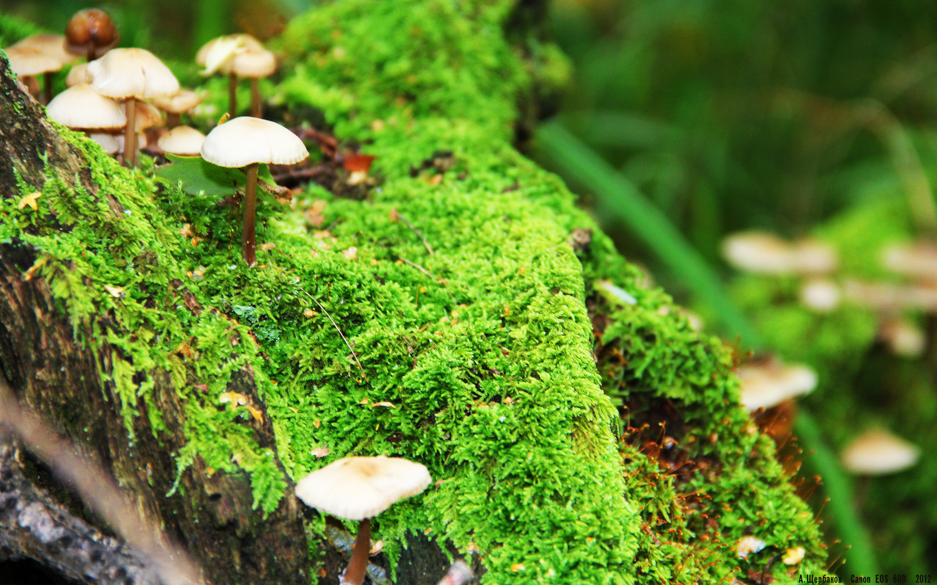 跨洋对决爆冷!广厦队掀翻公牛,霍勒迪巨星价值闪耀全场