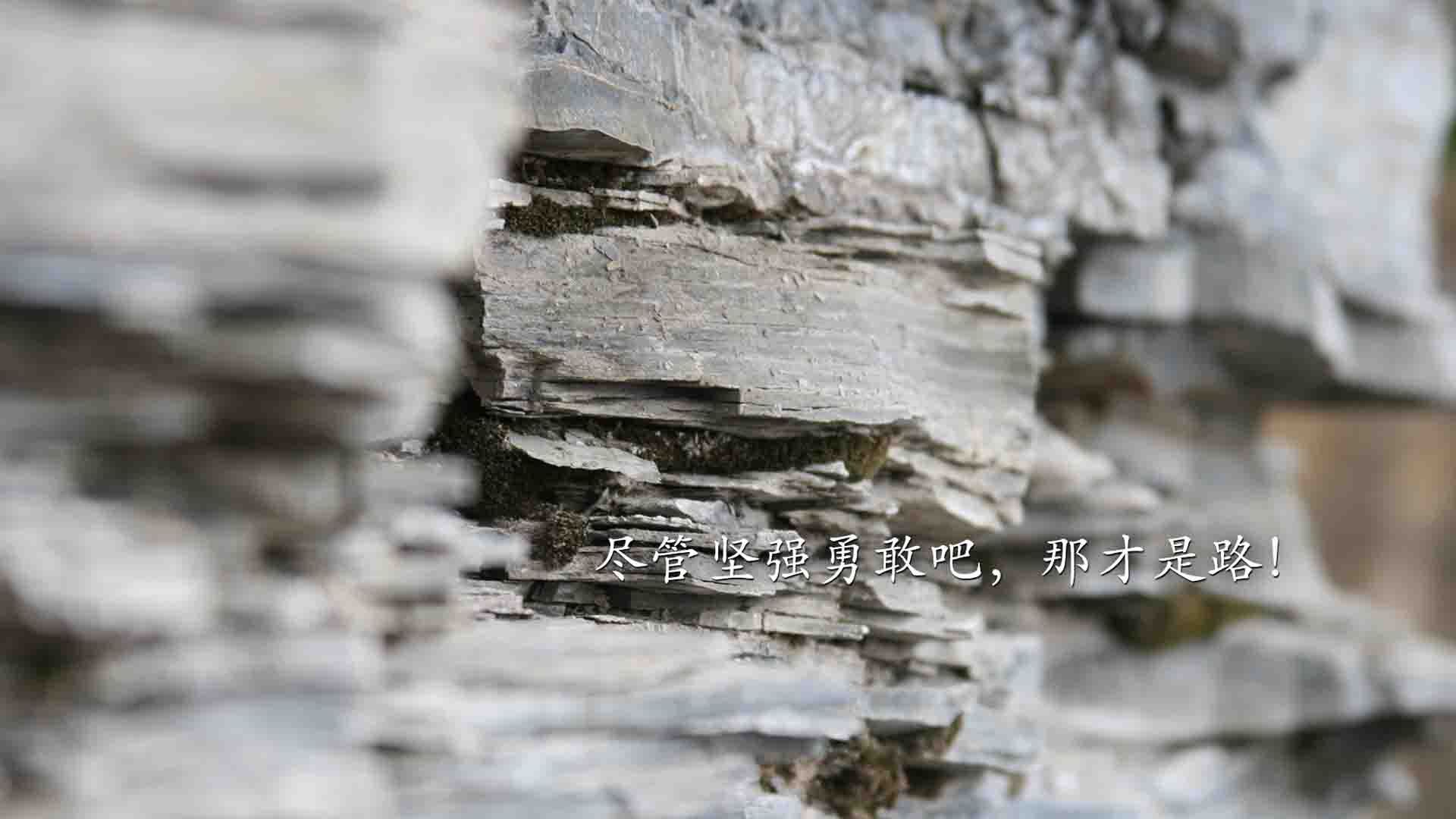 非典型对决，世界排名暗战下的几内亚风暴与多特蒙德困局