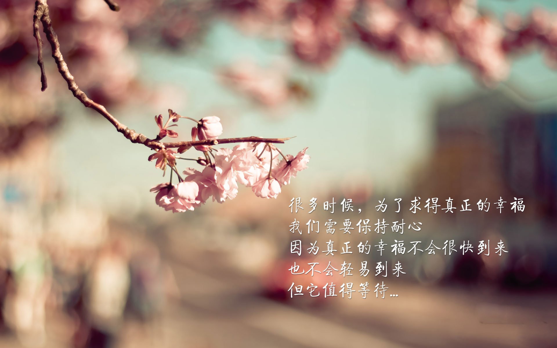 巅峰与荣耀,马刺险胜北京队,塔图姆终成关键先生